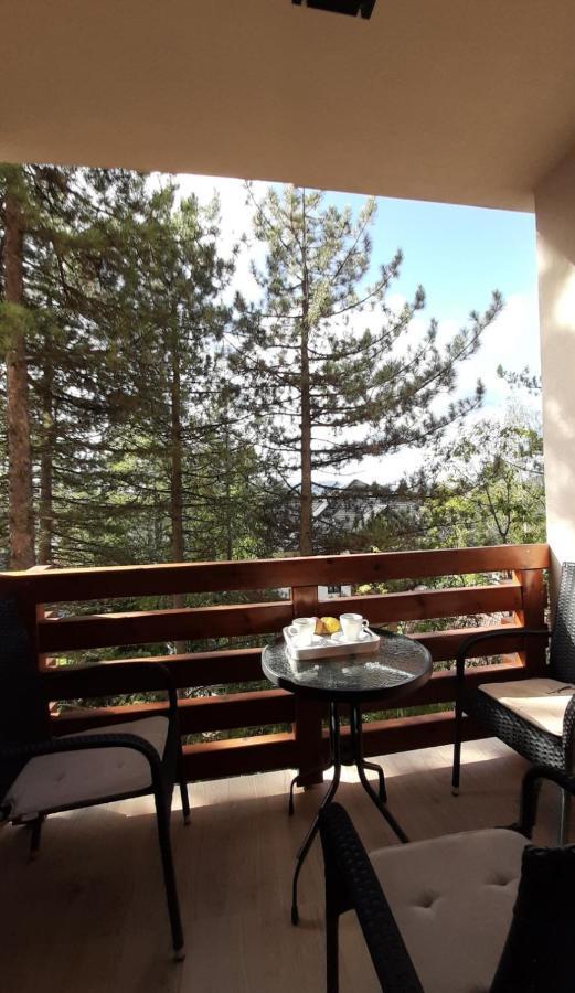 Apartman Silver Lux Zlatibor Luaran gambar