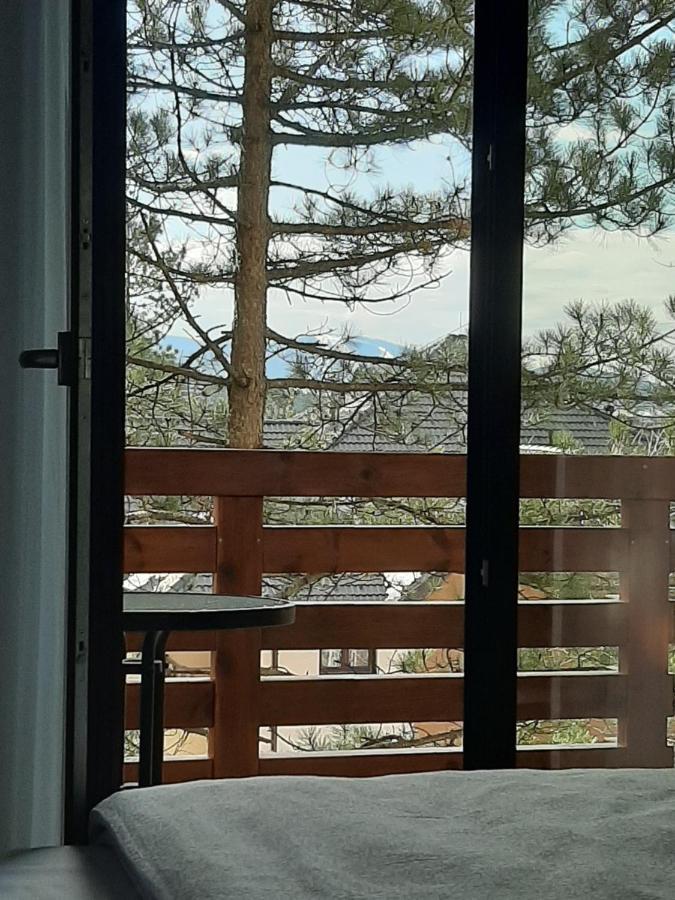 Apartman Silver Lux Zlatibor Luaran gambar